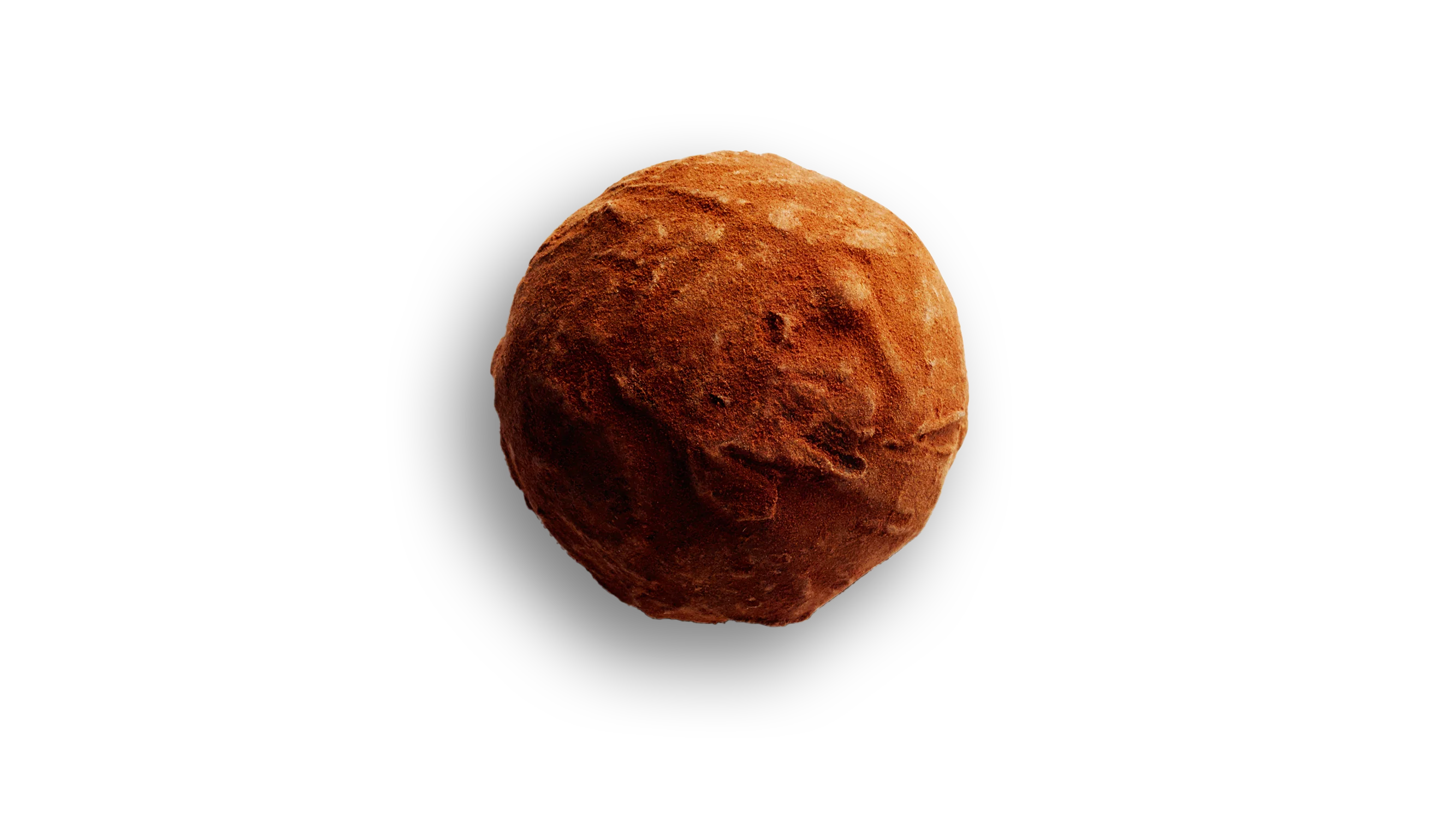 Truffes - Image 3